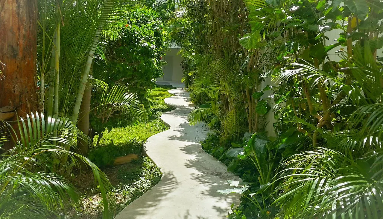 Hostel Meson De Tulum 坎昆 墨西哥